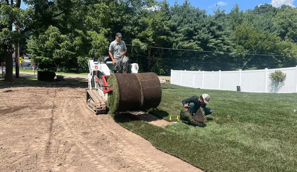 Project Expert Sod Installation in Kalamazoo image