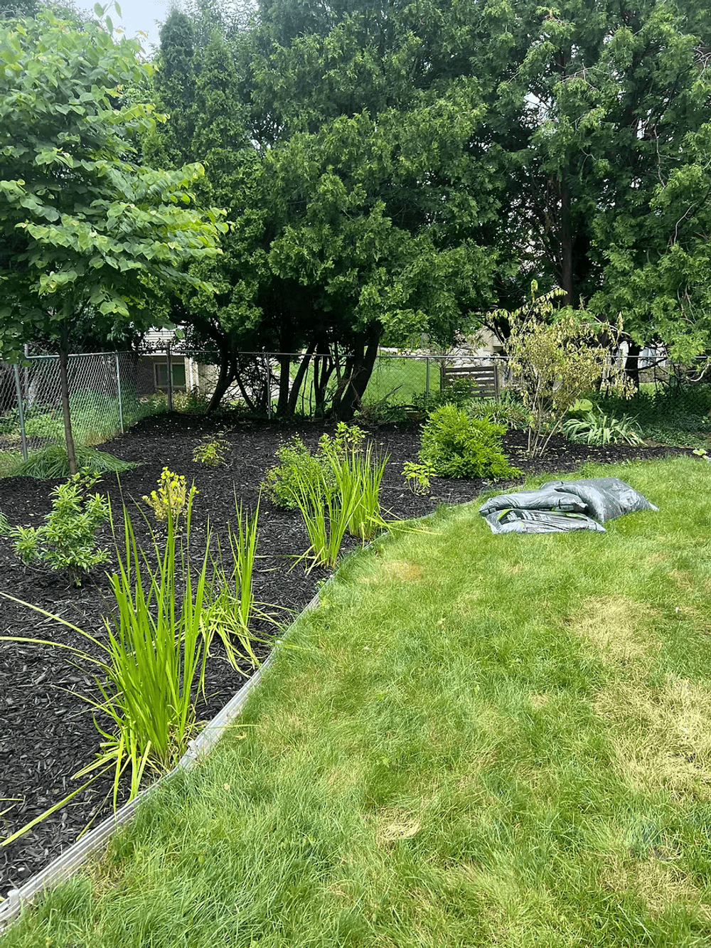 Full Landscape Bed Overhaul with Black Mulch in Kalamazoo