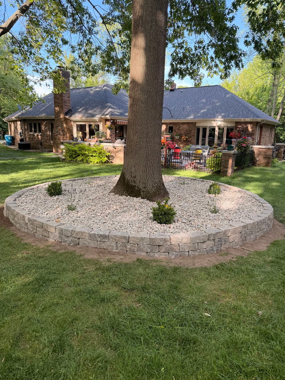 Gallery photos for Paver Tree Ring with Boxwoods and Lavender in Kalamazoo: Image #1