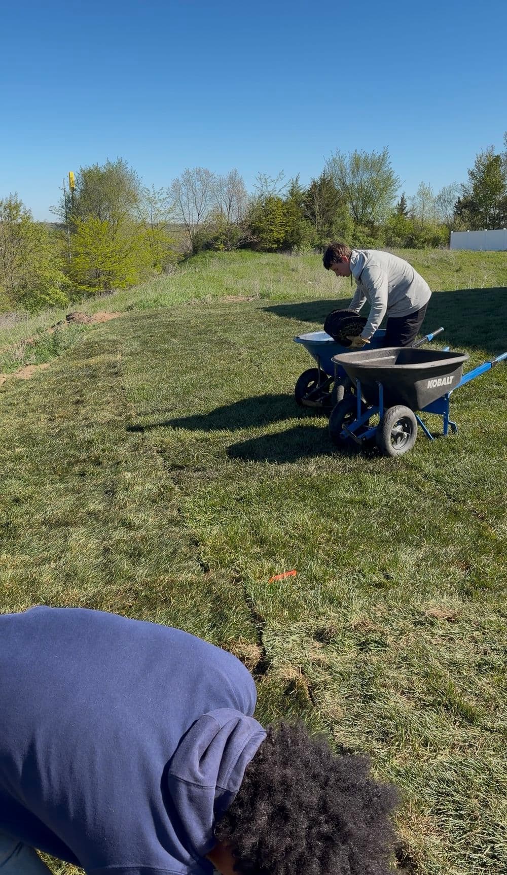 Gallery photos for New Home Sod Installation Replaces Sandy Fill Dirt in Galesburg: Image #5